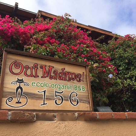 B&B Oui Madame Tijuana Exterior foto