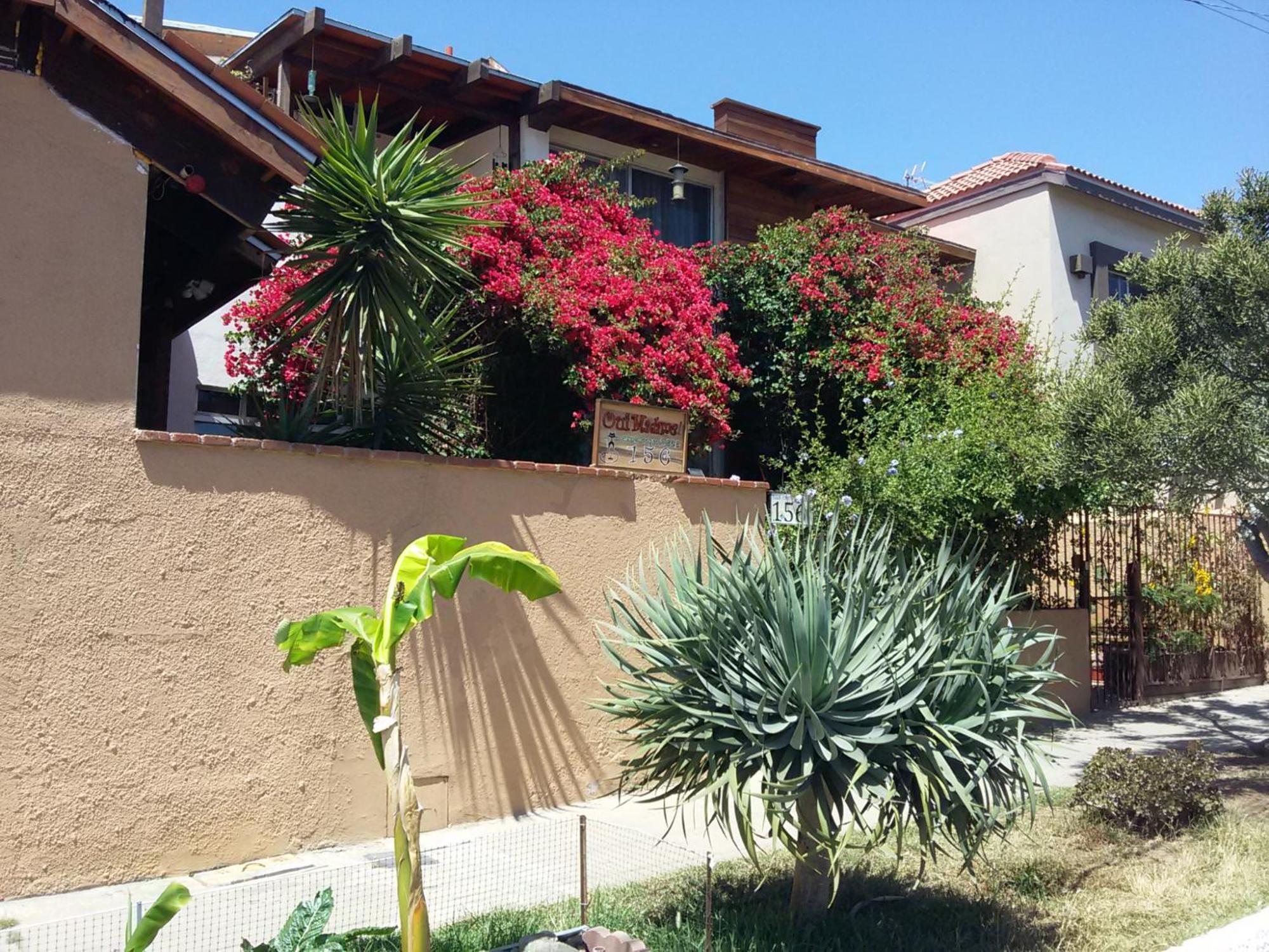 B&B Oui Madame Tijuana Exterior foto